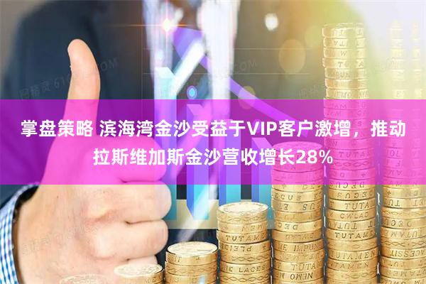 掌盘策略 滨海湾金沙受益于VIP客户激增，推动拉斯维加斯金沙营收增长28%