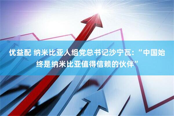 优益配 纳米比亚人组党总书记沙宁瓦: “中国始终是纳米比亚值得信赖的伙伴”